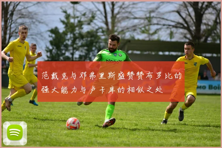 范戴克与邓弗里斯盛赞赞布罗比的强大能力与卢卡库的相似之处