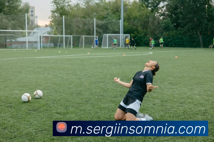 雷火竞技首页APP 封面图